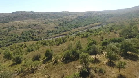 Flying Above Lush Fields Towards Scenic Mountains Video stock 317772622