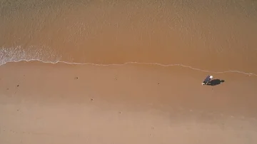 Flying Above Man Walking on Ocean Beach Stock Footage 85488400