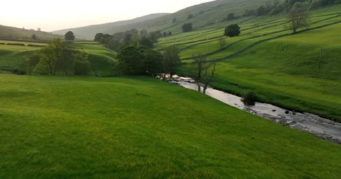Flying above meadows at sunset Stock Footage 282862698