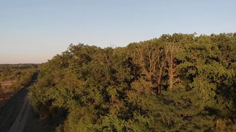 Flying above Milk river with forests and fields in Ukraine, Melitopol, Sosnovka Stock Footage 114218218