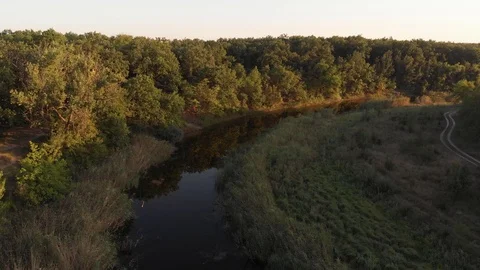 Flying above Milk river with forests and fields in Ukraine, Melitopol, Sosnovka  Stock Footage 114219036