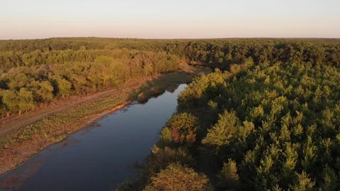 Flying above Milk river with forests and fields in Ukraine, Melitopol, Sosnovka  Stock Footage 114219924