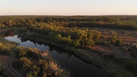 Flying above Milk river with forests and fields in Ukraine, Melitopol, Sosnovka  Stock Footage 114246868