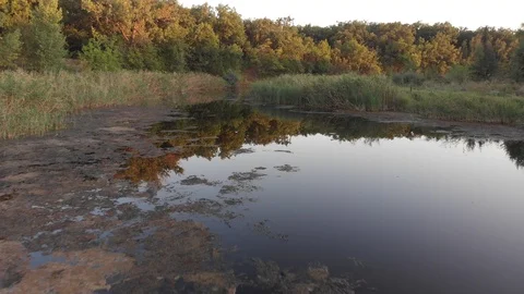 Flying above Milk river with forests and fields in Ukraine, Melitopol, Sosnovka  Stock Footage 114247005