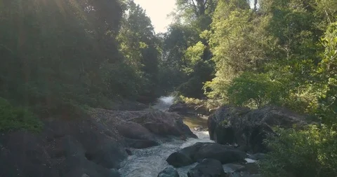 Flying above mountain river by drone in forest early in the morning Stock Footage 111302099