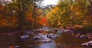 Flying Above Mountain Stream Between Green Trees. Nature Reserve. Russia. Aerial Stock Footage