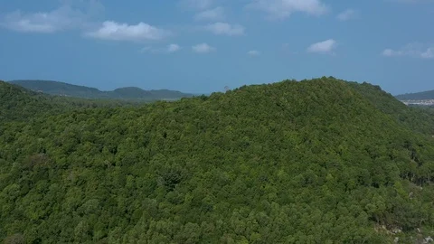 Flying above mountains covered with trees and forest in Phu Quoc island Vietnam Stock Footage 124326466
