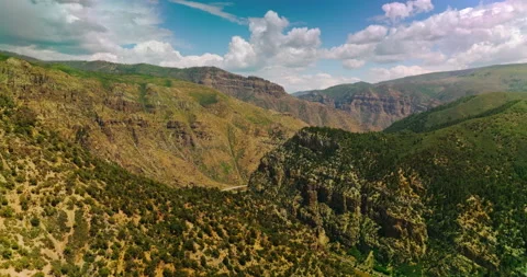 Flying above the mountains overgrown with pine trees and bushes. Stock Footage 212359528