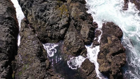 Flying up above the Pacific Coast with waves crashing against the rocks below. Stock Footage 124979834