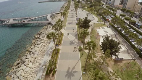 Flying above palm trees Stock Footage 107877911