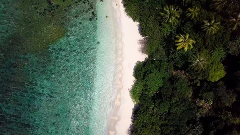 Flying above paradise beach: palm trees and crystalline water in Malaysia Stock-Footage 106242540