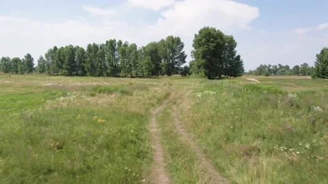 Flying above a path in a green field full of grass and flowers towards the big t Stock Footage 134968835