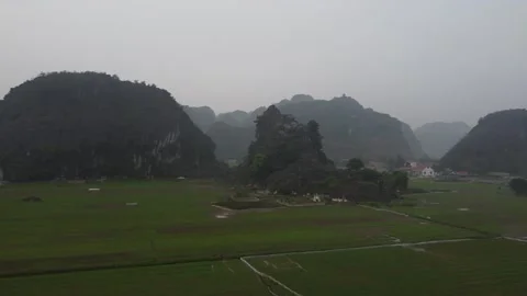 Flying Above Rice Paddy Fields Stock Footage 255028697