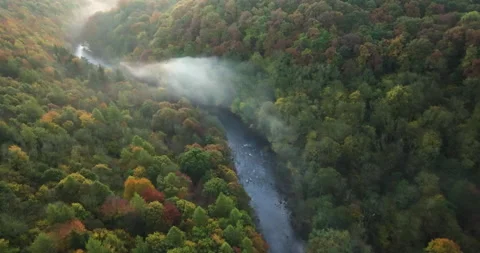 Flying above river in a misty forest Stock Footage 289534675