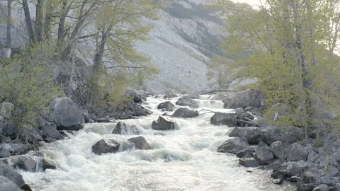Flying above River rapids flowing in forest, Turtle mountain background, Stock Footage 119899909