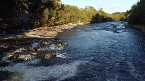 Flying above river surrounded by forest Stock Footage 292131152