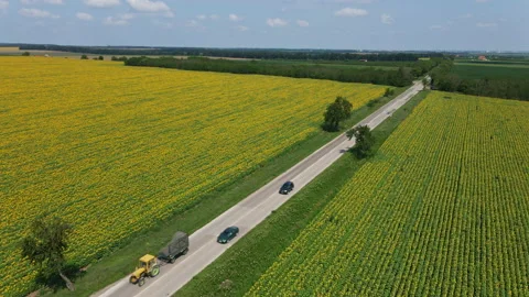 Flying above a road that crosses sunflower fields two cars overtaking tractor Stock Footage 134625053