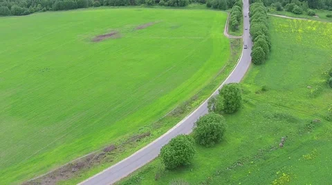 Flying Above Road in Summer Forest Stock Footage 51939185