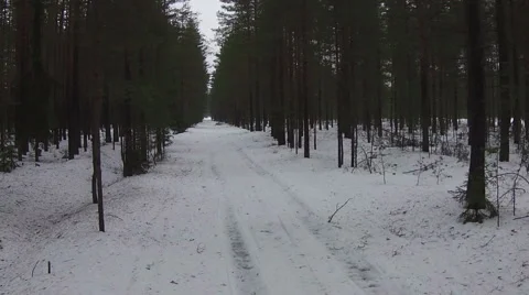 Flying Above Road in Winter Forest, aerial view Stock Footage 47178239