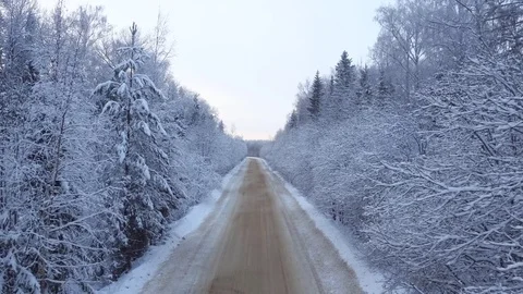 Flying above the road in winter forest Video stock 72233803