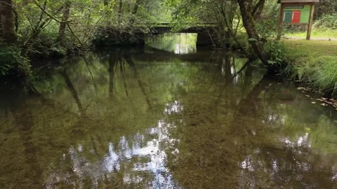 Flying Above Shallow Waters Of Rio Castro Towards Rustic Bridge Stock Footage 342402804