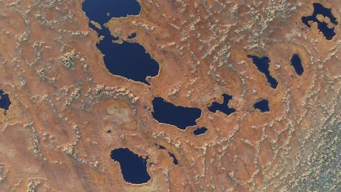 Flying above Siberian bogs at sunset vertical drone shot Stock Footage 96759552