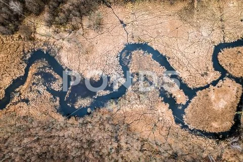 Flying above small river and brown swamps Stock Photos