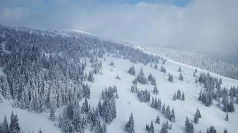 Flying above Snow covered Trees in the Mountains. Aerial Winter Landscape Stock Footage 114491264