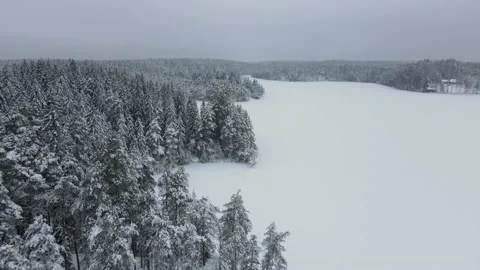 Flying above snow covered trees on a cloudy day Stock Footage 168750198