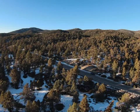 Flying ABove the Snow Stock Footage 221044483