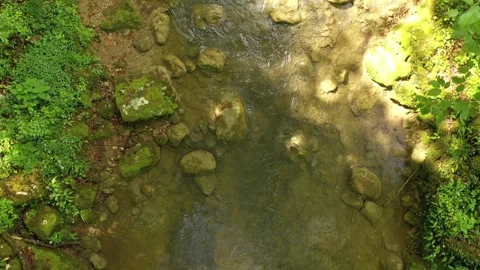 Flying above sunny forest stream Video stock 333714563