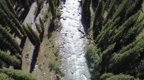 Flying above trees and a river 動画素材 41456126