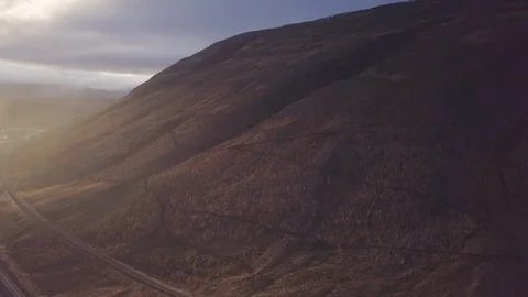 Flying up above trees whilst looking down, birds eye view Stock Footage 91277133