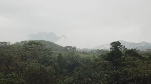 Flying above the tropical rainforest, on a cloudy rainy day. Thailand Stock Footage 201415536