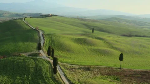 Flying above tuscan green spring landscape and  a curvy road with trees 2 Stock Footage 127842782