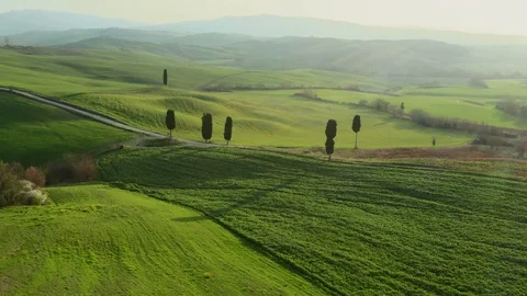 Flying above tuscan green spring landscape and  a curvy road with trees Stock Footage 127843517