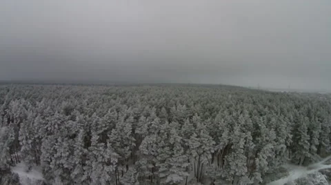 Flying above winter forest Video stock 45383841