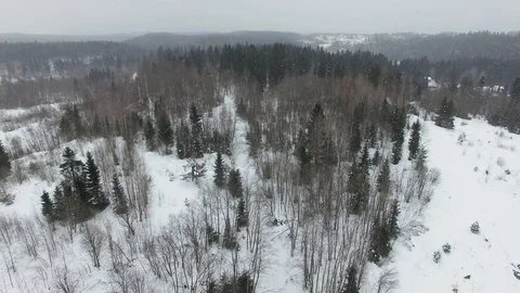 Flying above the winter forest landscape in cloudy weather with a snowfall. Stock Footage 92852167