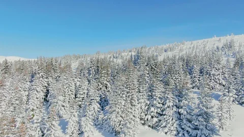 Flying above winter snowy pine forest. Aerial of snow covered high mountain. 스톡 동영상 103485352