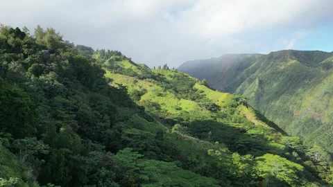 Flying across valley on Mount Aorai, Tahiti French Polynesia Stock Footage 253171599