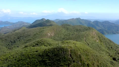 Flying Aerial view of mountain landscape , hiking trail in Plover Cove Reserv Video stock 149097728