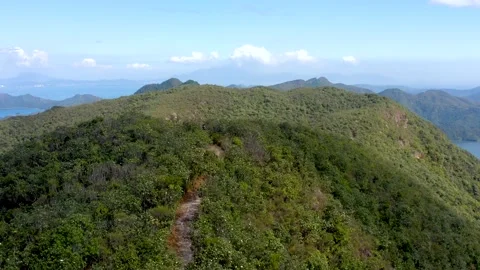 Flying Aerial view of mountain landscape , hiking trail in Plover Cove Reserv Video stock 149098233