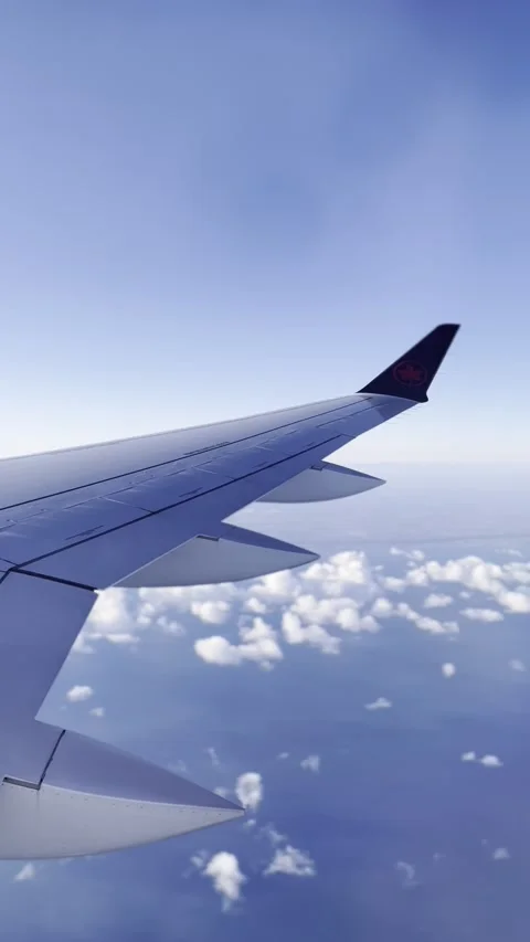 Flying on Air Canada Stock Footage 165715071