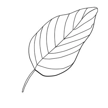 Flying in the air, flying  Stock Illustration