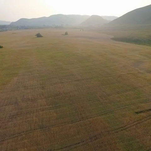 Flying in the air over wheat field Stock Footage 69491083