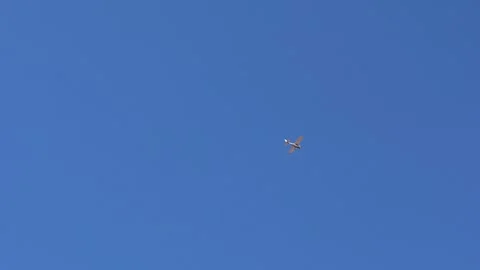 Flying Airplane Above Video stock 273801427
