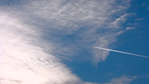 Flying airplane on the blue sky. Stock Footage 87089565