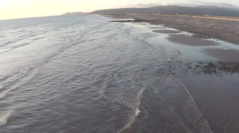 Flying Along The Beach 库存影片 65394741