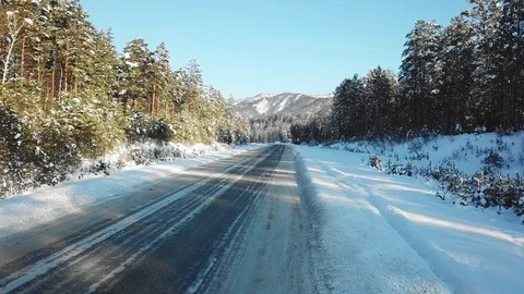 Flying along beautiful coniferous trees in a forest covered by a breeze above Stock Footage 125014146