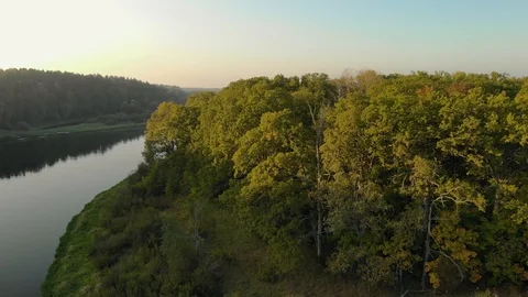 Flying along the bend of the river around the magnificent green crowns of Stock Footage 125486824